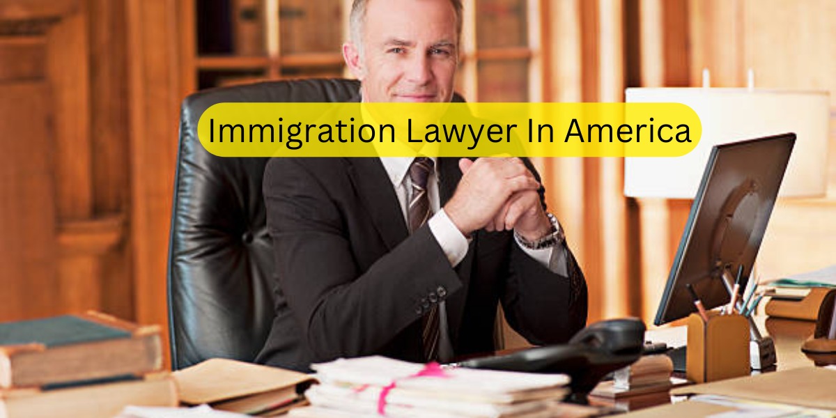 Immigration Lawyer In America