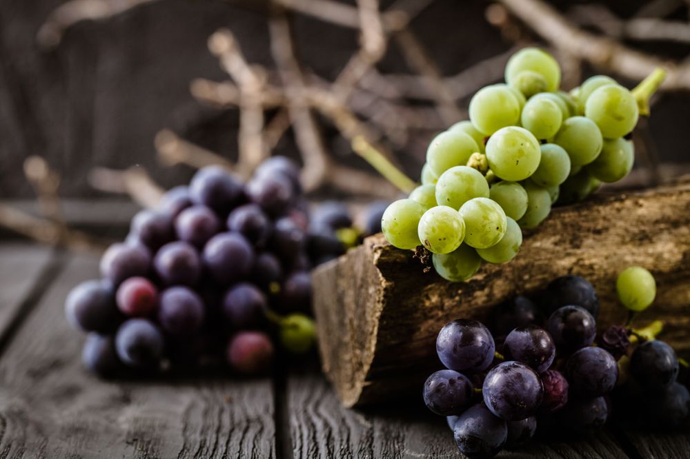 Grapes Offer Many Health Benefits