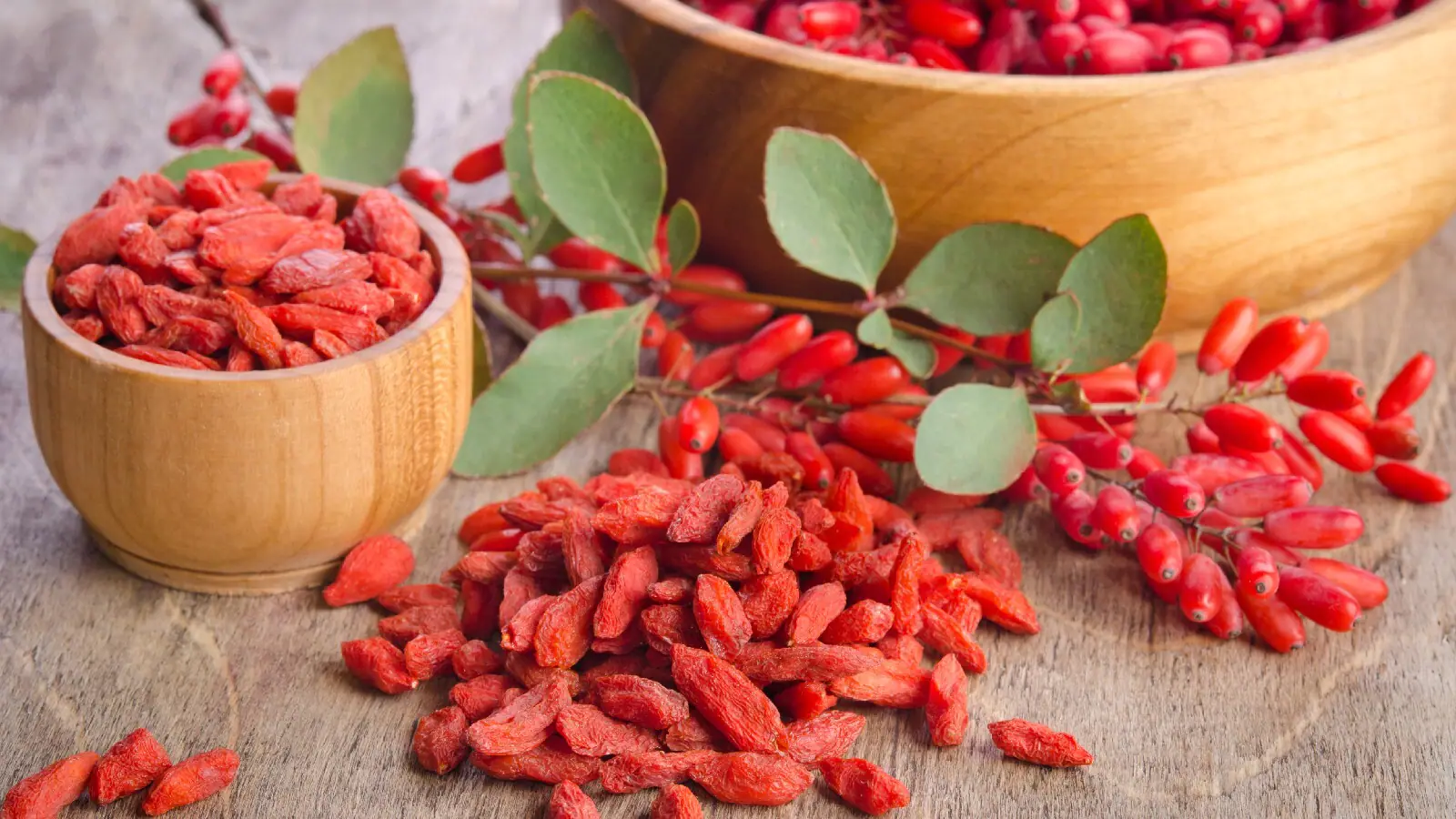 The-Medical-advantages-of-the-Goji-Berry.