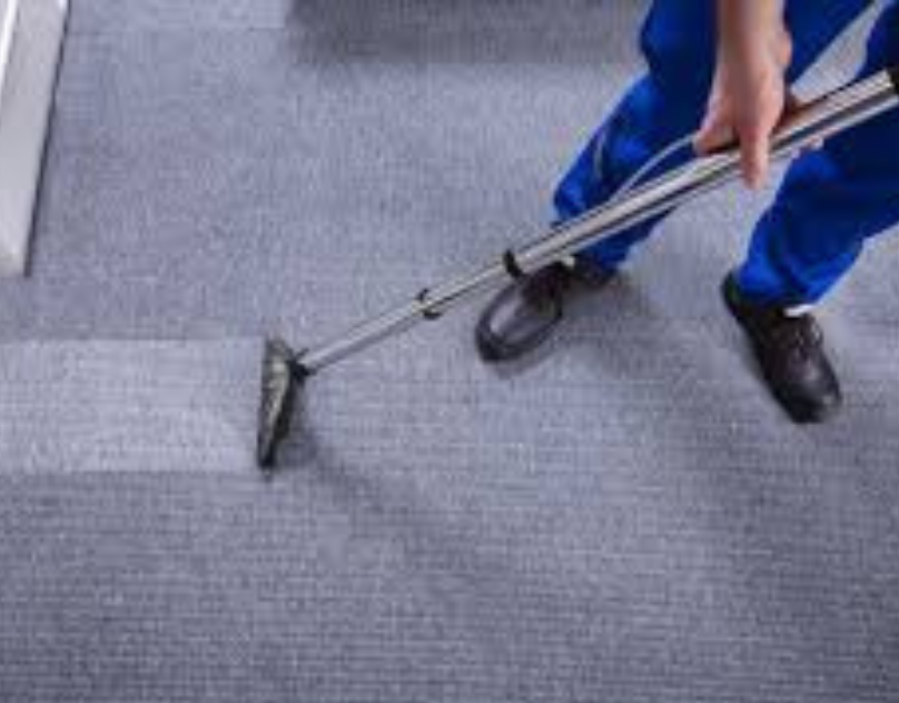 How to Use Bissell ProHeat Carpet Cleaner: The Complete Guide 