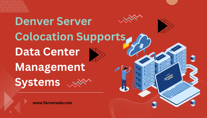 Denver Server Colocation Supports Data Center Management Systems